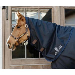 product/k/e/kentucky_52219-03-l_bleu-marine_2.jpg