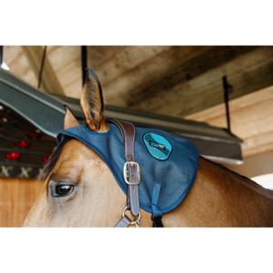 product/k/e/kentucky_62105-03-f_0.jpg
