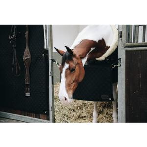 product/k/e/kentucky_82102-01_2.jpg