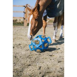 82153-62-l-balle-a-foin-kentucky-royal-blue-tu