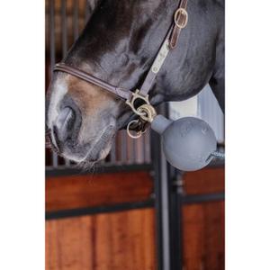 82154-08-s-balle-protection-d-attache-kentucky-gris-tu