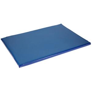 16413-tapis-desinfectant-chaussures-kerbl-bleu-bleu-55x45-cm