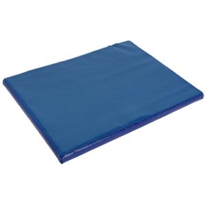 16490-tapis-desinfectant-chaussures-kerbl-bleu-85x60-cm