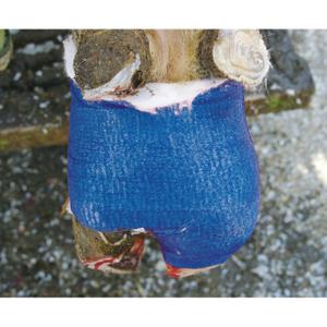 product/k/e/kerbl_1667_bleu_2.jpg