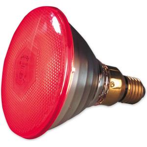 22302-lampe-infrarouge-economique-kerbl-philips-rouge-red-100-w