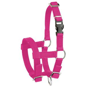 27184-licol-pour-alpaga-kerbl-pink-tu