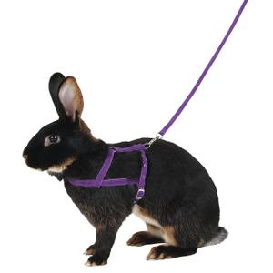 81761-harnais-pour-rongeurs-kerbl-agility-violet-l