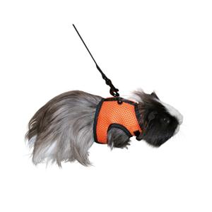 82748-harnais-pour-rongeurs-sport-kerbl-x1-orange-noir-120x14x18-cm