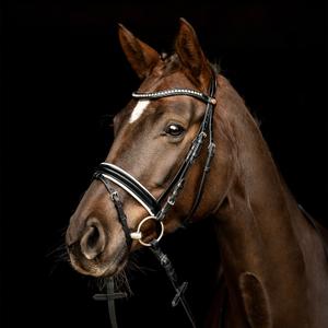3101-5207-bridon-equitation-muserolle-combinee-kieffer-comfort-lyon-black-black-lined-browband-with-light-grey-ultrashine-crystals