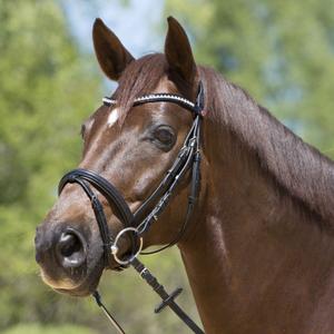 3132-6223-bridon-equitation-muserolle-combinee-kieffer-lea-black-black-lined