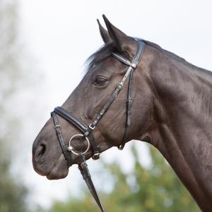 384-54415-384-51980-bridon-equitation-muserolle-combinee-kieffer-ultrasoft-r-black-black-lined
