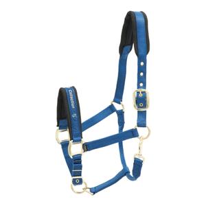553-1540-licol-pour-cheval-en-nylon-kieffer-collection-blue