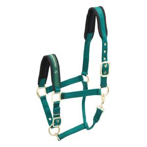 553-1541-licol-pour-cheval-en-nylon-kieffer-collection-green