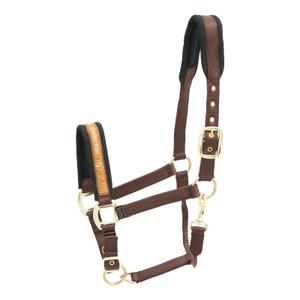 553-404-licol-pour-cheval-en-nylon-kieffer-collection-dark-brown