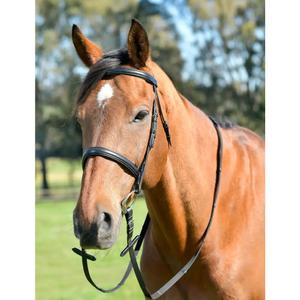 1025204001-cavecon-pour-cheval-avec-renes-kincade-classic-black