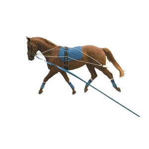 561500-surfaix-pour-cheval-kincade-blanc-bleu-tu