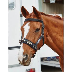 product/k/i/kincade_593613_black_1.jpg