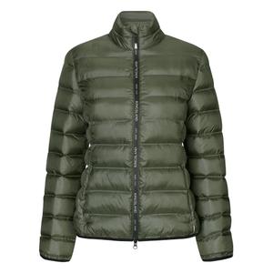 product/k/i/kingsland_2430153850-6576_green-beetle_1.jpg