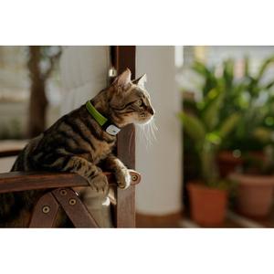 cy0535-collier-gps-activite-pour-chat-kippy-vert-blanc-gris-tu