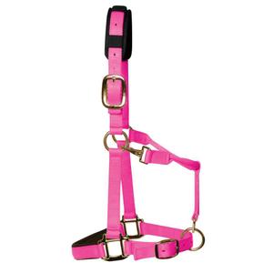 product/k/m/km-elite_hhpc_warm-pink_1.jpg