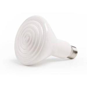 product/k/o/komodo_ko45523_blanc_1.jpg