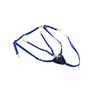 lk3036-royal-blue-collier-de-chasse-en-biothane-avec-martingale-pour-cheval-lakota-royal-blue-tu