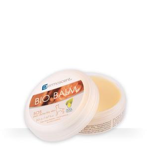 4503459-baume-pour-chien-et-chat-ldca-dermoscent-bio-balm-blanc-50-ml