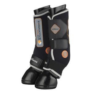 product/l/e/lemieux_it00580_1.jpg