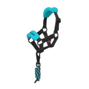 it03931001-licol-pour-peluche-lemieux-toy-pony-vogue-azur-tu