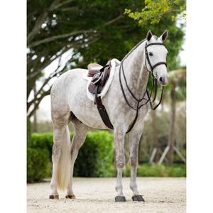 product/l/e/lemieux_it04862004_white_3.jpg