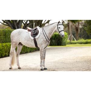 product/l/e/lemieux_it04862004_white_5.jpg
