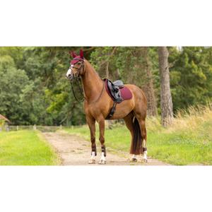 product/l/e/lemieux_it05739005_bordeaux_5.jpg