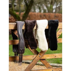 product/l/e/lemieux_it05796003_noir_1.jpg