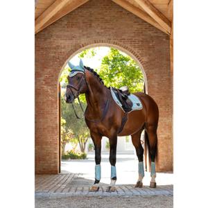 product/l/e/lemieux_it05938003_2.jpg