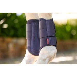 product/l/e/lemieux_it06192003_9.jpg