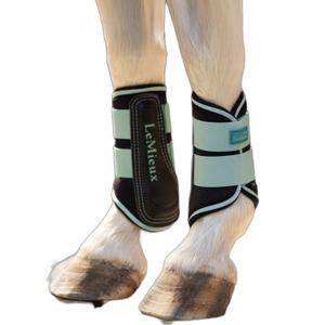 product/l/e/lemieux_it06200122_aqua_2.jpg