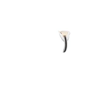 product/l/e/lemieux_it06296001_marron_10.jpg