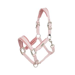 it06739007-licol-pour-cheval-lemieux-versailles-blossom