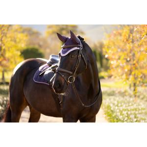 product/l/e/lemieux_it06966_009.jpg
