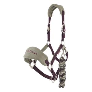 it07000007-ensemble-licol-et-longe-pour-cheval-lemieux-vogue-damson