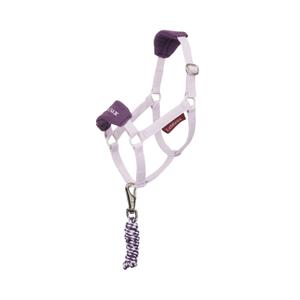 it07121001-licol-et-longe-lemieux-hobby-horse-lilac-tu