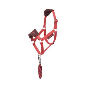 it07122001-licol-et-longe-lemieux-hobby-horse-cranberry-tu