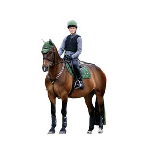 product/l/e/lemieux_it07608005_vert-hunter_1.jpg