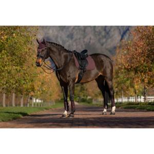 product/l/e/lemieux_it07763_007.jpg
