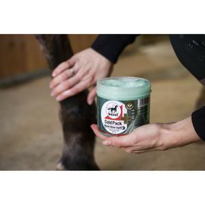 product/l/e/leovet_722015050_green_3.jpg