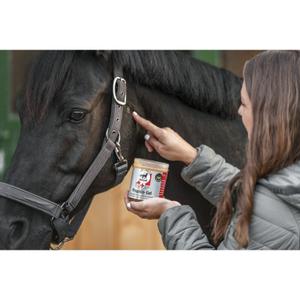 product/l/e/leovet_722019035_rouge-gris_2.jpg