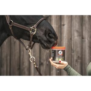 product/l/e/leovet_722025070_marron_2.jpg