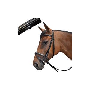 121104-camel-bridons-equitation-tucson-combine-lexington-camel