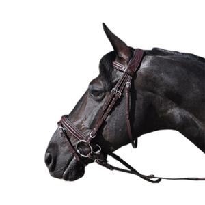 121123-marron-bridons-equitation-denver-combine-lexington-marron