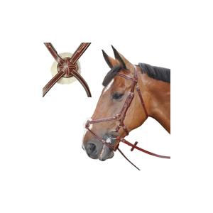 121143-marron-bridons-equitation-denver-croise-lexington-marron